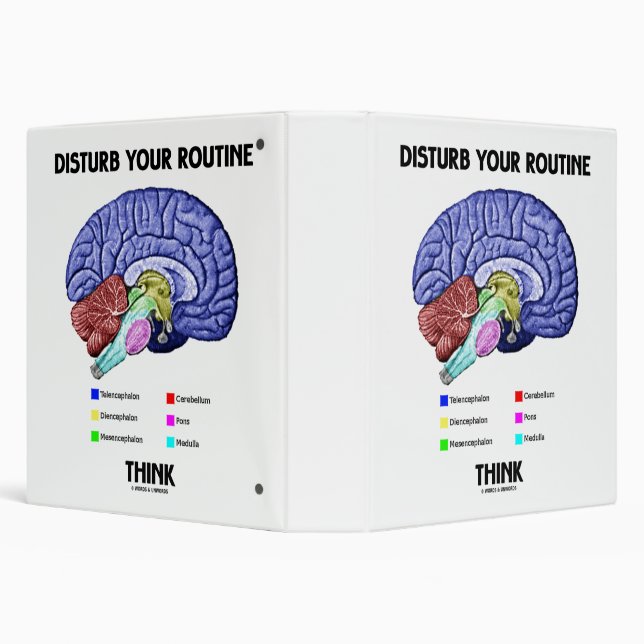 Disturb Your Routine Think Brain Anatomy Advice Binder (Background)
