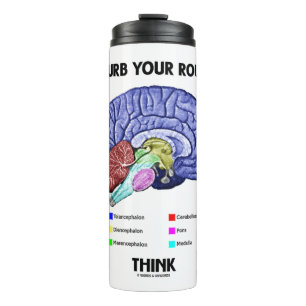 Disturb Your Routine Think Brain Anatomy Advice Thermal Tumbler