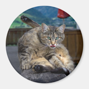 Disturbed While Cleaning Magnet