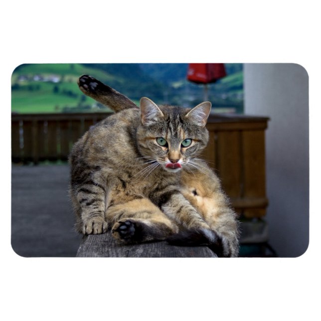 Disturbed While Cleaning Magnet (Horizontal)