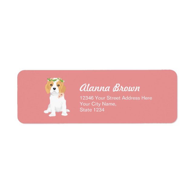 Dita The Blenheim Cavalier King Charles Spaniel (Front)
