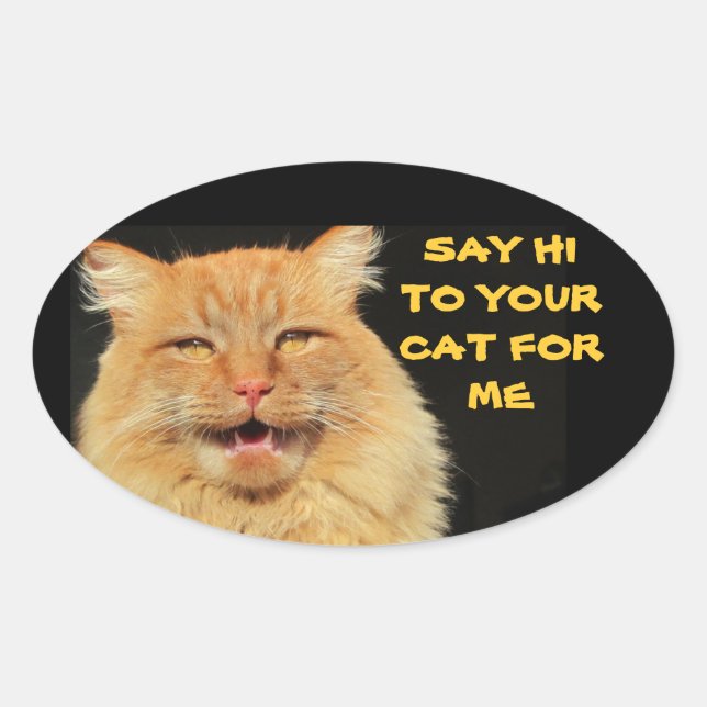 Dites Bonjour À Votre Chat Oval Sticker (Devant)