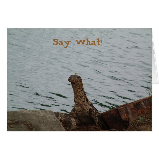 Dites ce qui ! Moniteur d'eau (Devant horizontal)