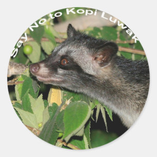 Dites non à Kopi Luwak Sticker