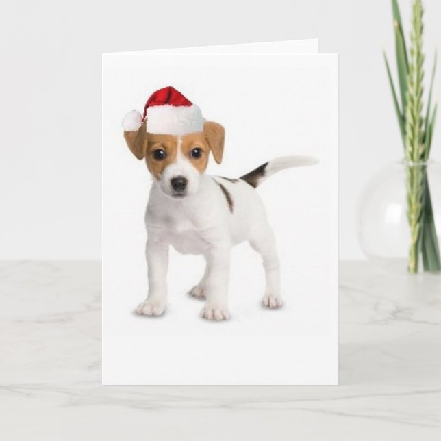 Ditzy Dogs~Original Greeting Card~Jack Russell Holiday Card (Front)