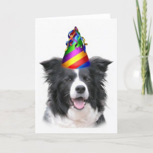 Ditzy Dogs~Original Notecard~Border Collie~B'day Card