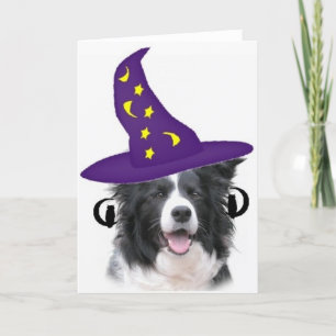 Ditzy Dogs~Original Notecard~Border Collie Card