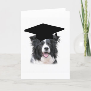 Ditzy Dogs~Original Notecard~Border Collie Card