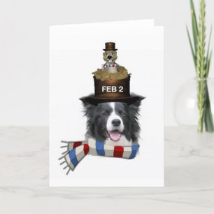 Ditzy Dogs~Original Notecard~Border Collie Card