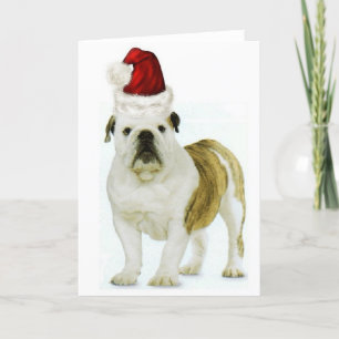 Ditzy Dogs~Original Notecard~Bulldog~Christmas Holiday Card