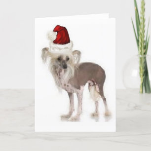 Ditzy Dogs~Original Notecard~Chinese Crested Card