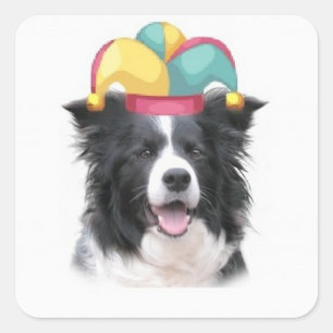 Ditzy Dogs~Original Sticker~Border Collie Square Sticker