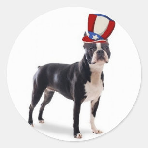 Ditzy Dogs~Original Sticker~Boston Terrier Classic Round Sticker