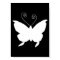 Diva Butterfly In White