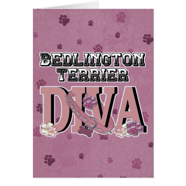 DIVA de Bedlington Terrier (Devant)