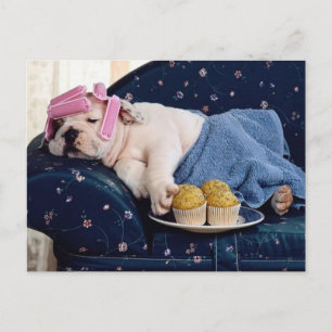 Diva In The Making Postcard