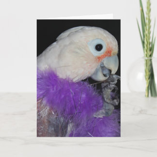 Diva-ish Birthday Card