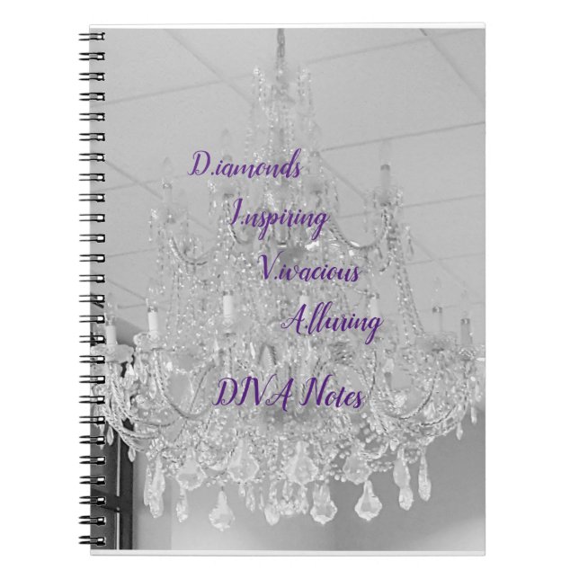 DIVA Life Lights Spiral Notebook (Front)