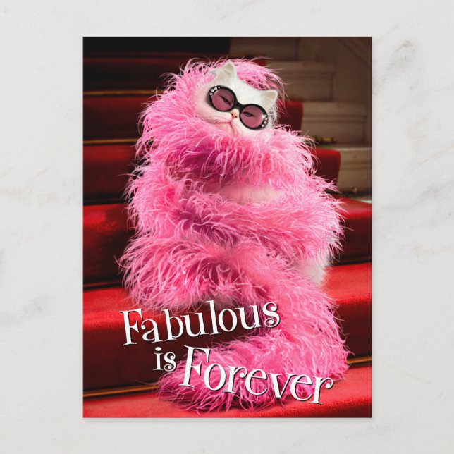 Diva White Cat Wrapped in Pink Boa on Red Carpet Postcard (Front)