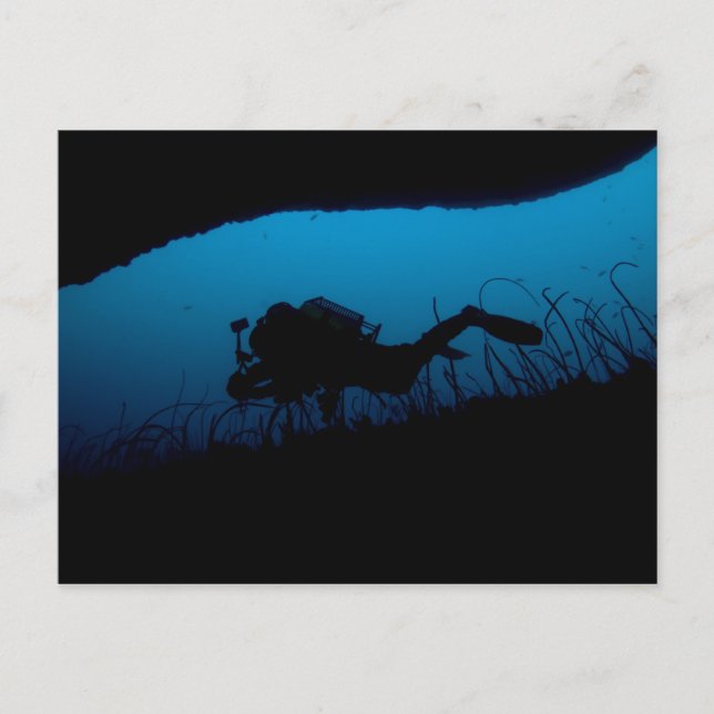 Dive the Castle Postcard (Front)