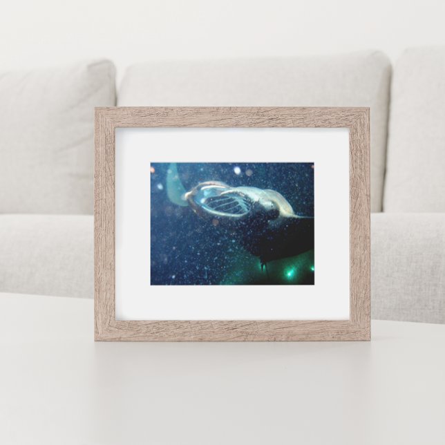 Dive with the Manta Rays -The Big Island Poster (Creator Uploaded)