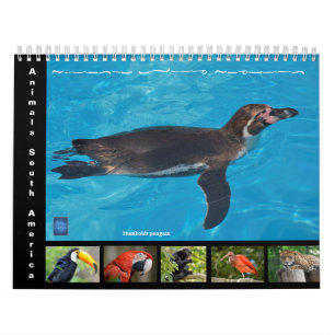 Divers animaux d'Amérique du Sud Calendrier 12 moi