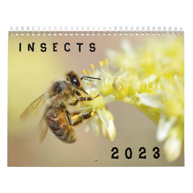 Divers calendrier des insectes (Protection)