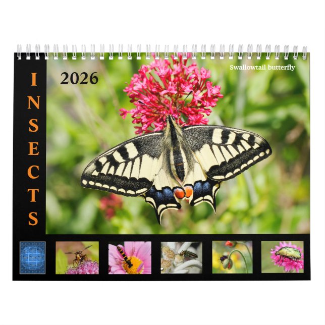 Divers insectes et fleurs calendrier 12 mois (Protection)