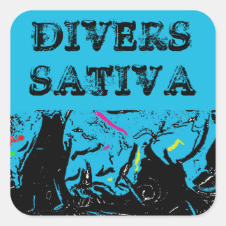 DIVERS SATIVA SQUARE STICKER