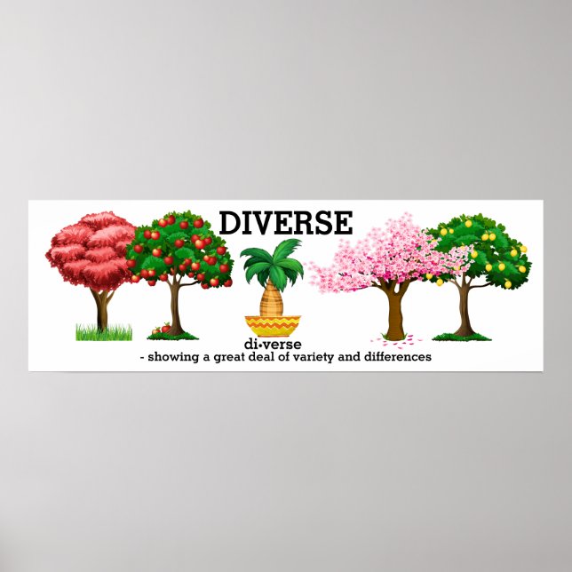 DIVERSE - Vocabulary  Poster (Front)
