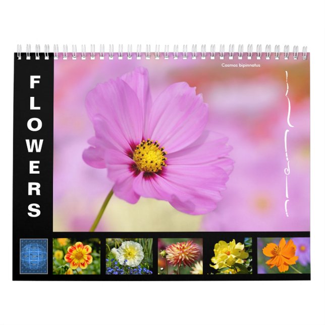 Diverses fleurs calendrier 12 mois (Protection)