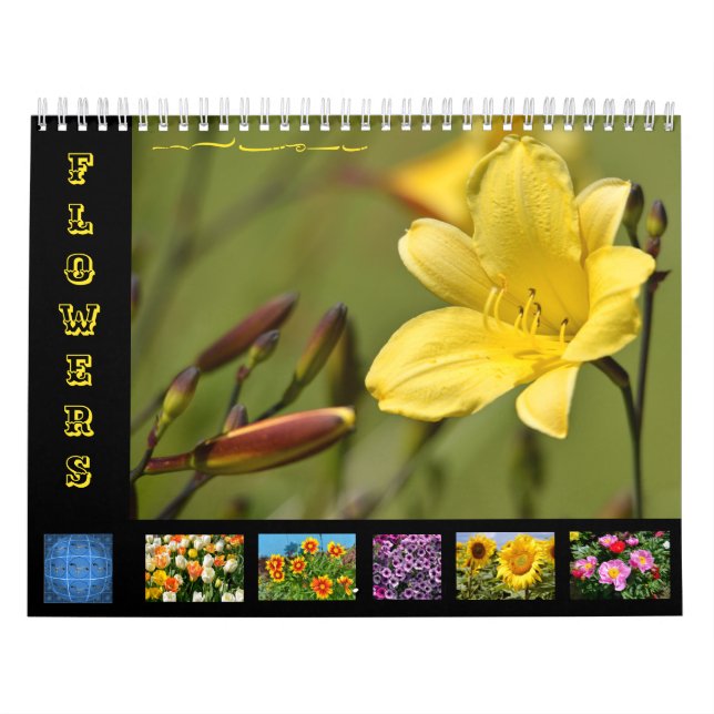 Diverses fleurs calendrier 12 mois (Protection)