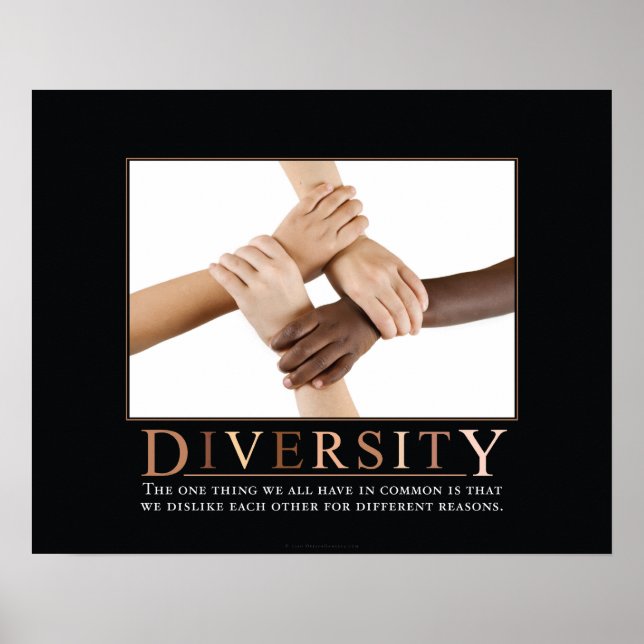 Diversity Demotivational Poster (Front)