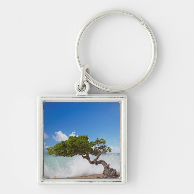 Divi Divi Tree, Eagle Beach, Aruba, Caribbean Keychain (Front)