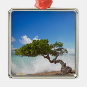 Divi Divi Tree, Eagle Beach, Aruba, Caribbean Metal Ornament