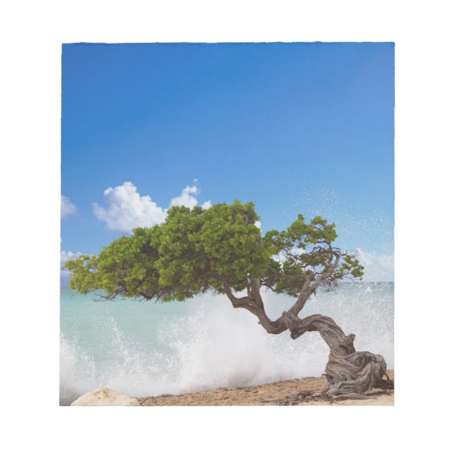 Divi Divi Tree, Eagle Beach, Aruba, Caribbean Notepad (Front)
