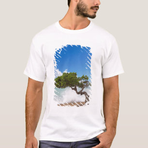 Divi Divi Tree, Eagle Beach, Aruba, Caribbean T-Shirt