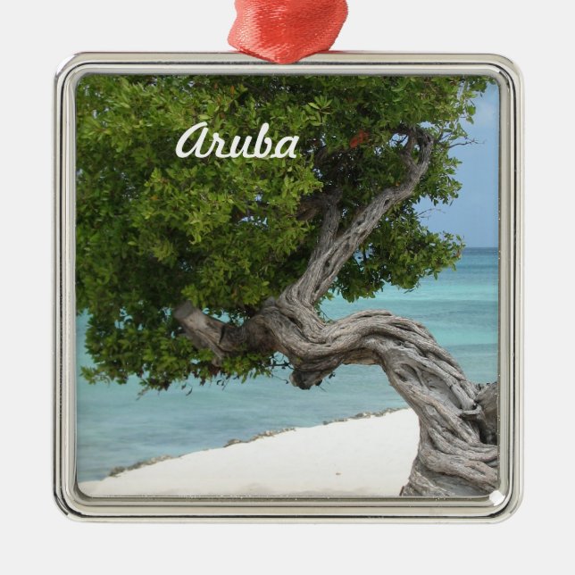 Divi Divi Tree in Aruba Metal Ornament (Front)