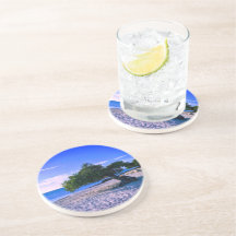 Divi Divi Tree Sandstone Coaster