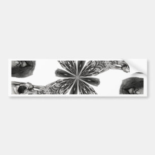 Divide and Conquer Bumper Sticker