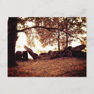 Divine Archive Postcard