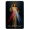 Divine Mercy Jesus I Trust In You! Magnet
