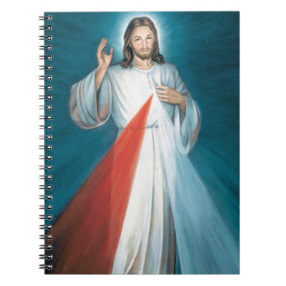 divine mercy notebook