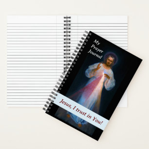 Divine Mercy Prayer Journal