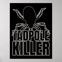 Diving Beetle Beetles Tadpole Killer – Entomology
