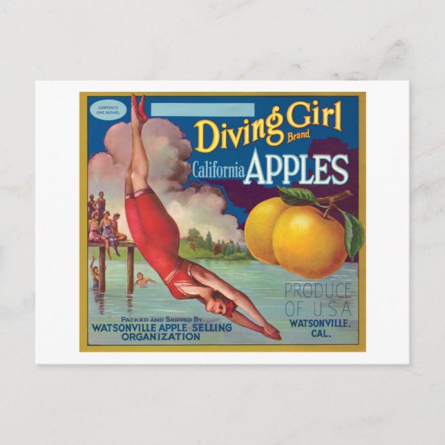 Diving Girl Vintage Apples Label Postcard (Front)