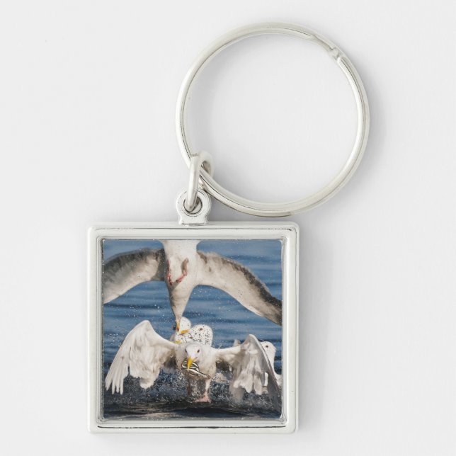 Diving Gulls Keychain (Front)