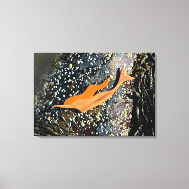 diving mermaid wrapped canvas (Front)