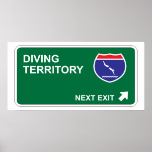 Diving Next Exit Poster