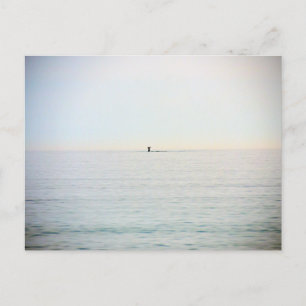 Diving Whale Postcard